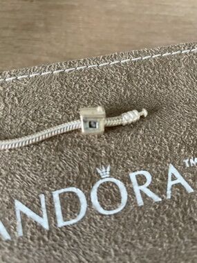 Pandora Silver HouseSlide Charm in Silver